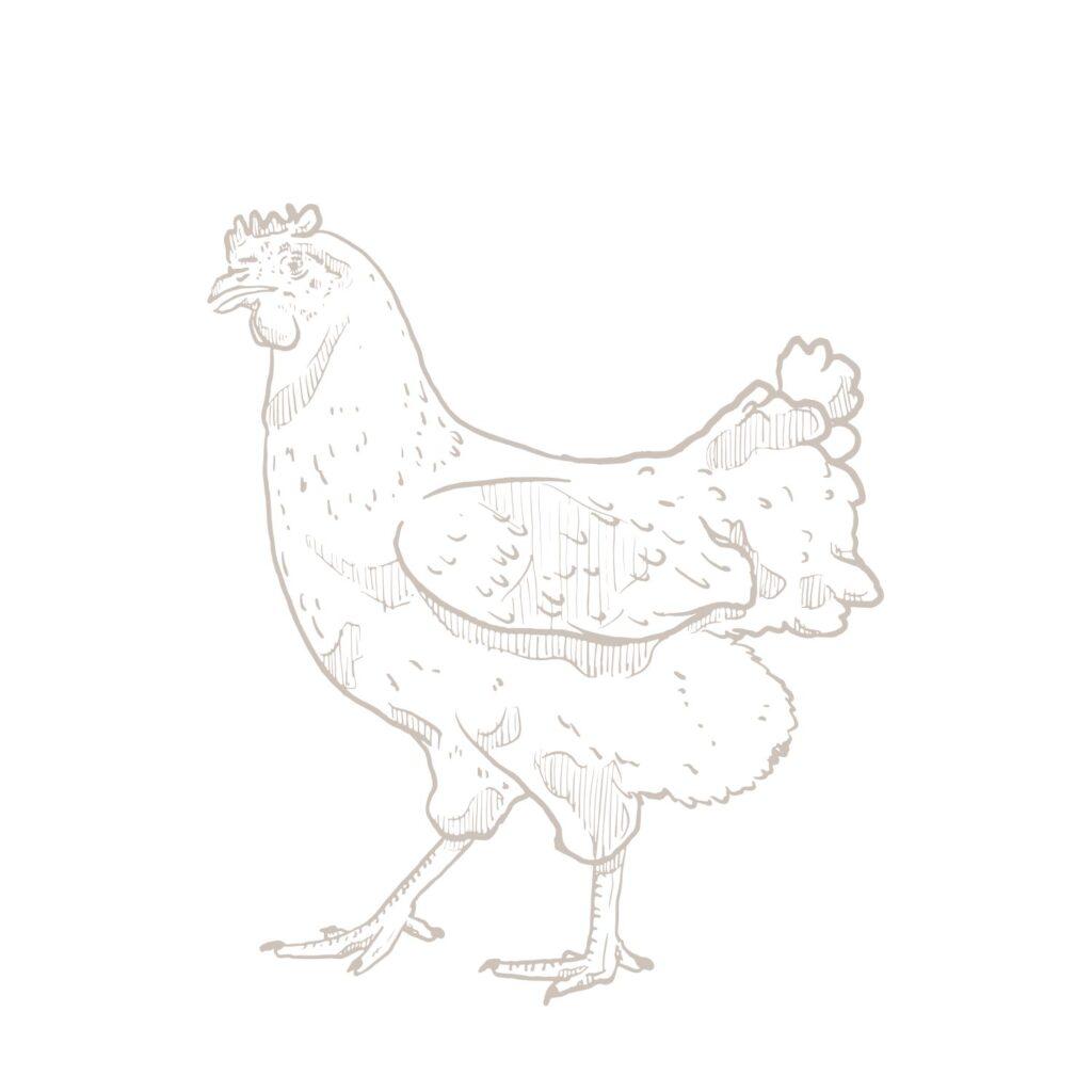 homesteading