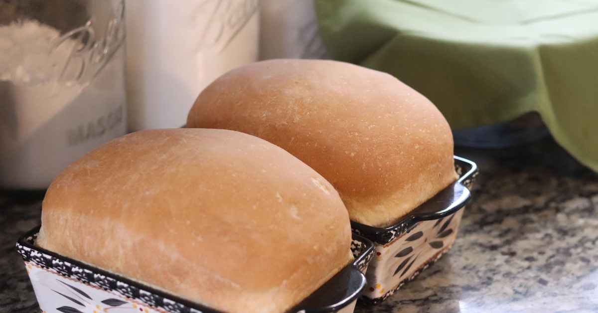 homemade sandwich bread from scratch