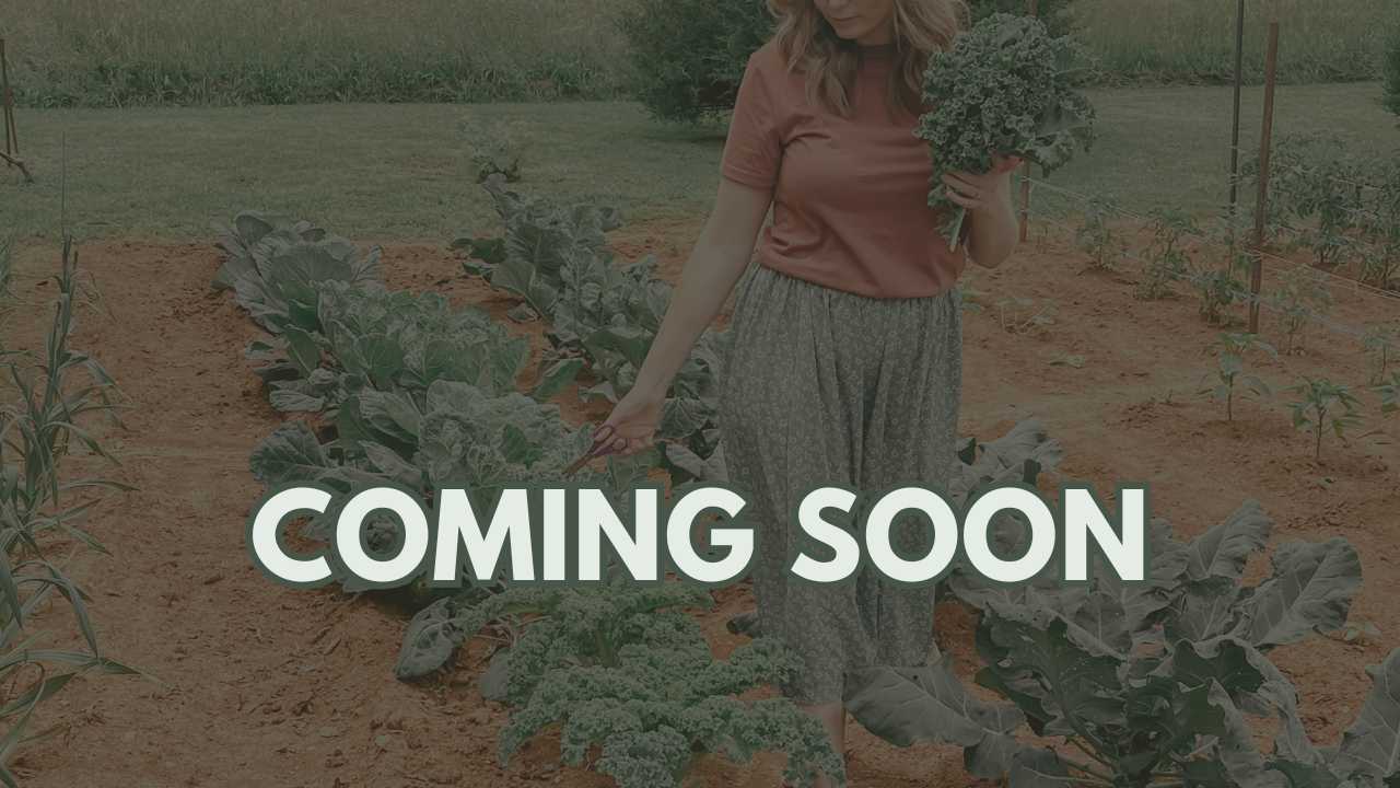Her Folk Roots YouTube Channel Cover