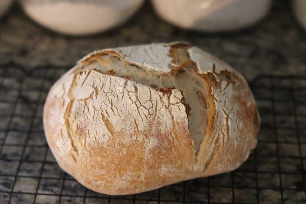 sourdough bread from scratch on cooling rack